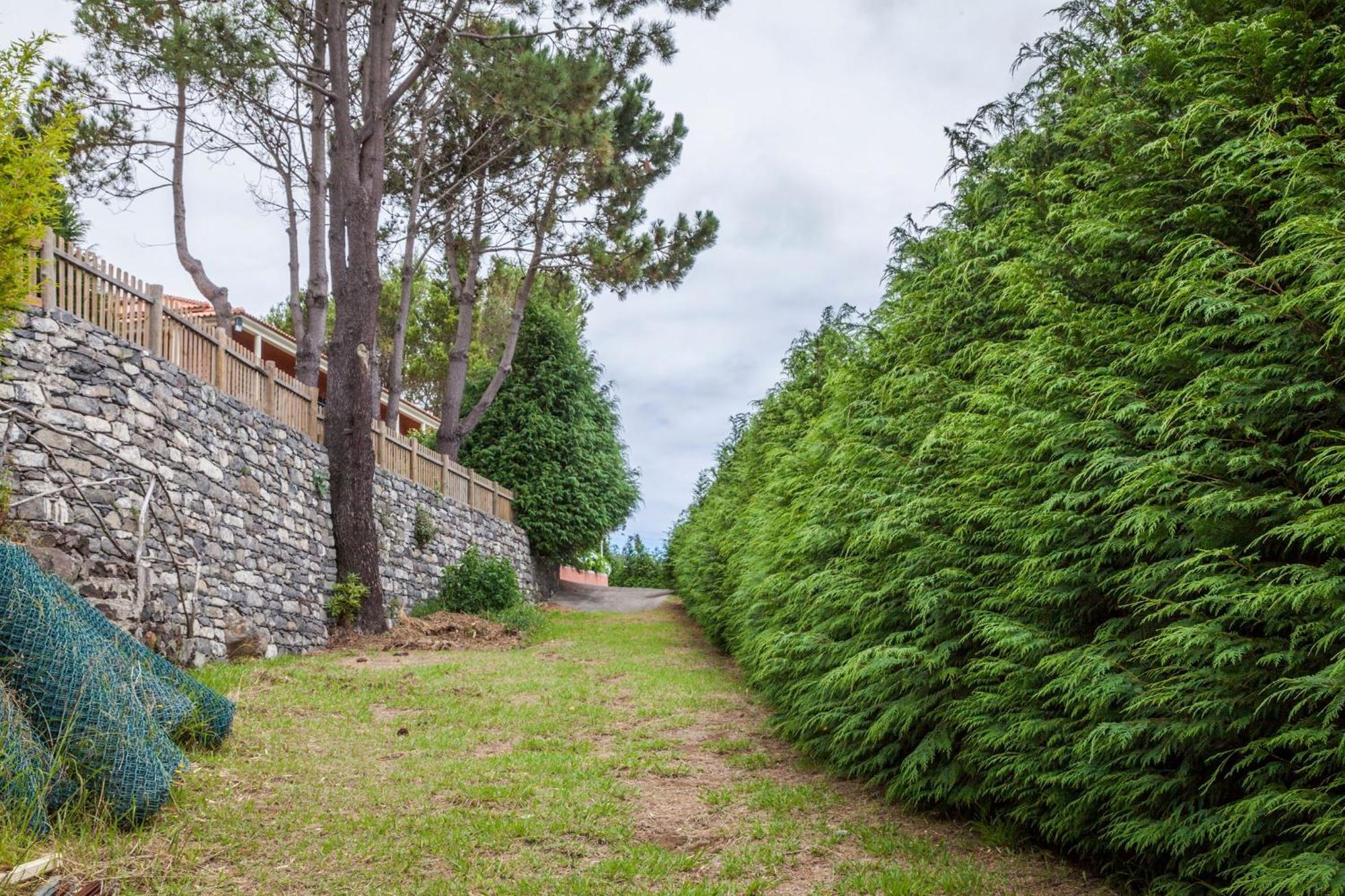 Quinta Do Santo By Lovelystay Santo Antonio da Serra Экстерьер фото